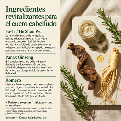Naori™ — Barra Coreana para Revitalizar el Cuero Cabelludo y Fortalecer el Cabello